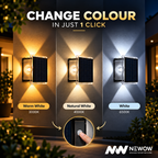 Solar Comet Outdoor Light