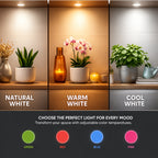 Pluto LED Cob Light