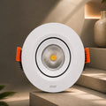 Jupiter LED Cob Light