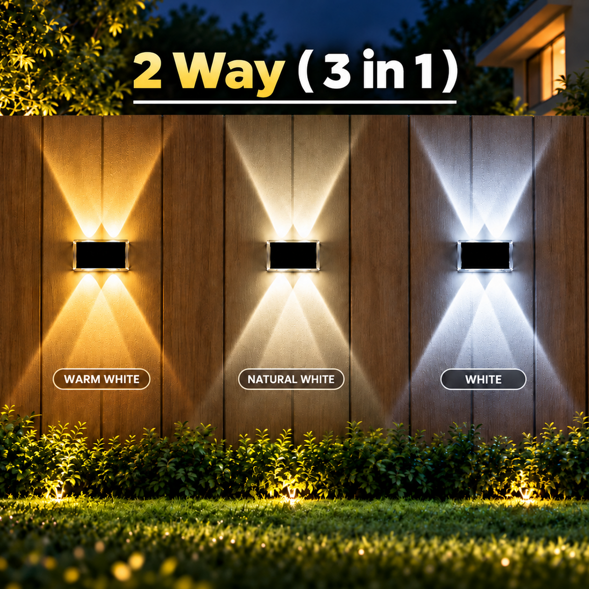 Solar Comet Outdoor Light