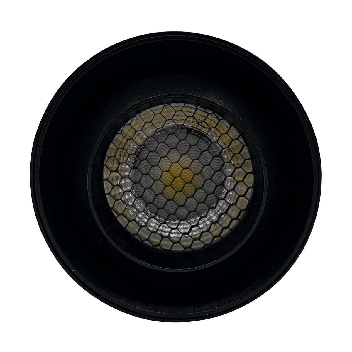 NW Argon LED Magnetic Track Light